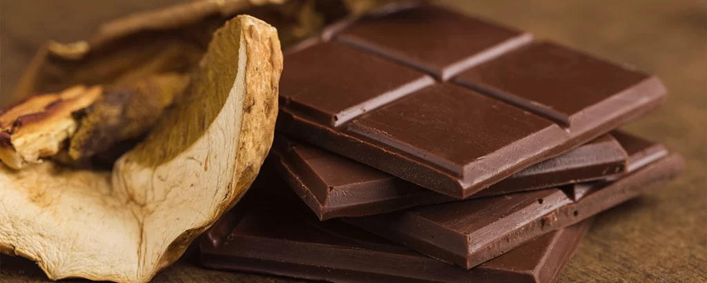 What are the Health Benefits of Mushroom Chocolate?
