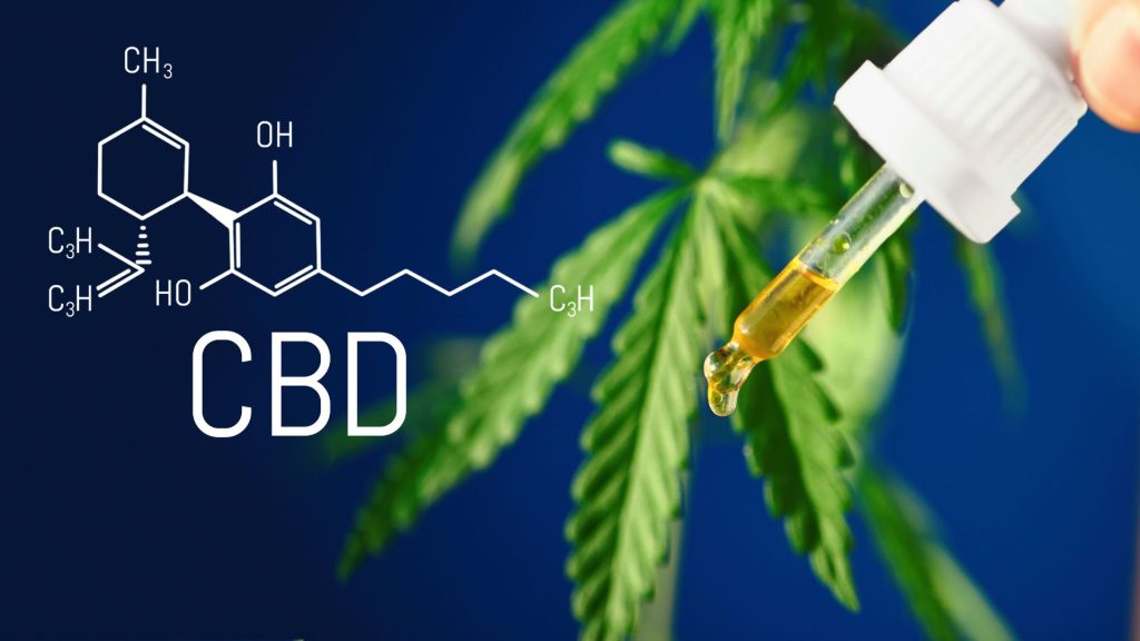 What You Need to Know About CBD Safety
