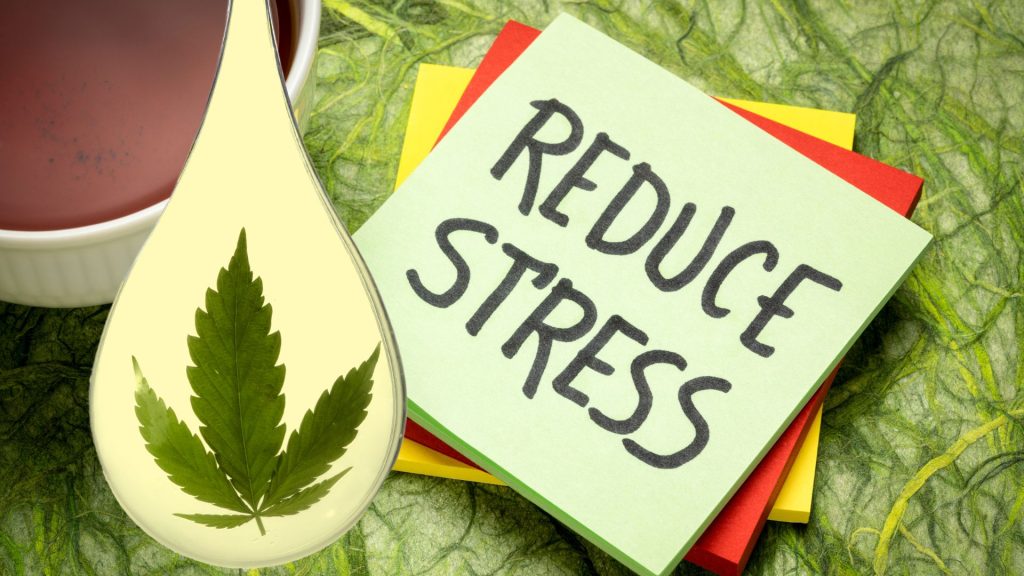 Can CBD Help Reduce Stress?