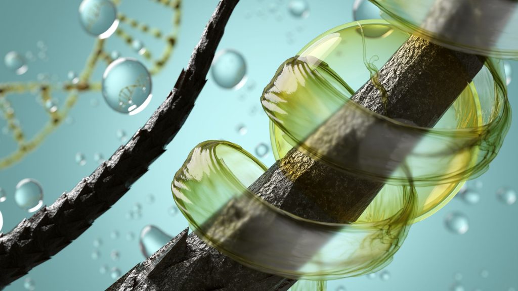 Nourishing Your Hair Requires Nourishment