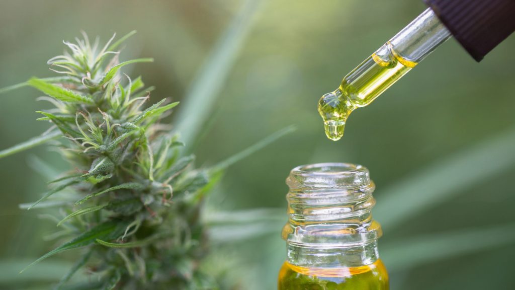 What You Should Know About CBD