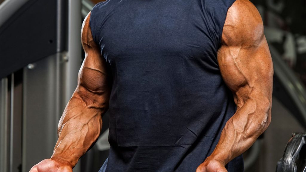 How Bodybuilding Supplements Can Help You Build Muscle