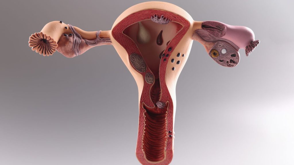 How to Keep Your Vaginal Health in Check