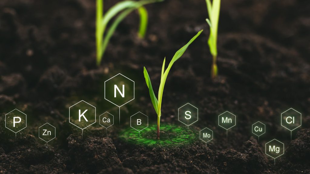 Nutrients For Plants